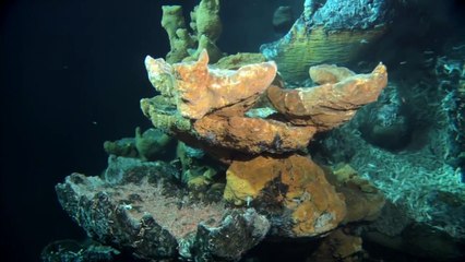 Aliens der Meere (2005) Filme Deustche HD