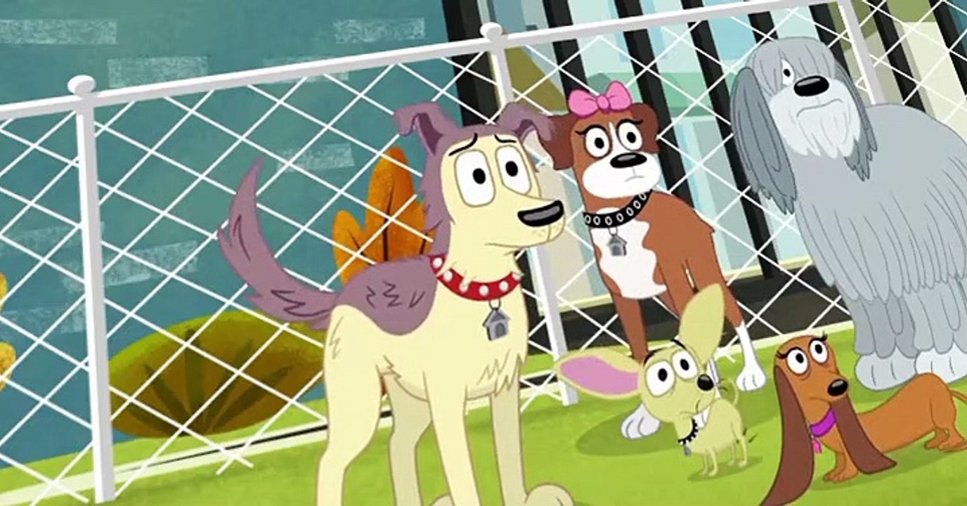 Pound Puppies 2010 Pound Puppies 2010 S02 E008 Salty video Dailymotion