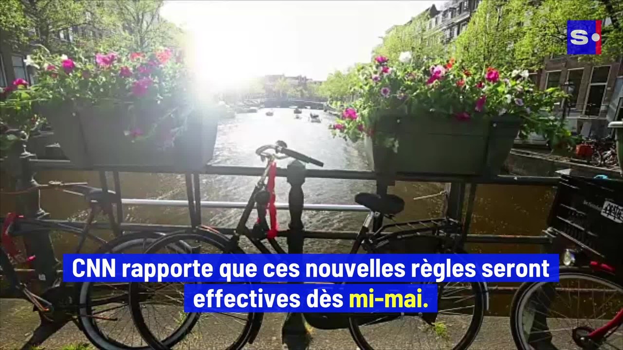 Amsterdam prend des initiatives pour rendre le Quartier Rouge plus sûr