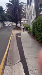 Man Carries Around Street Sign