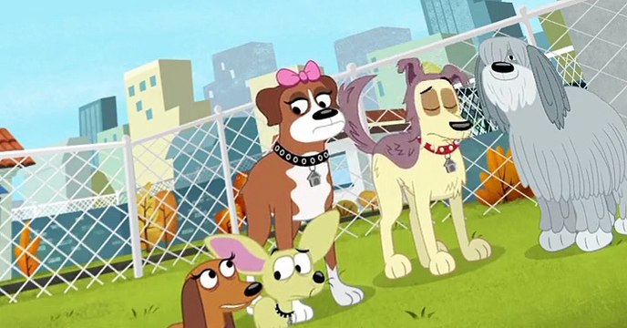 Pound Puppies 2010 Pound Puppies 2010 S02 E011 No Dogs Allowed