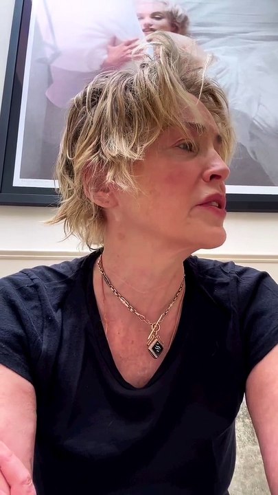 Sharon Stone annonce, en larmes, la mort de son frère des suites d'un cancer : Il était le père de River, le neveu de la comédienne, décédé en 2021 à l'âge 11 mois