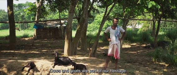 Watch 'Bulbul Can Sing' (2019) in HD – Stream the Award-Winning Film Now 🎬