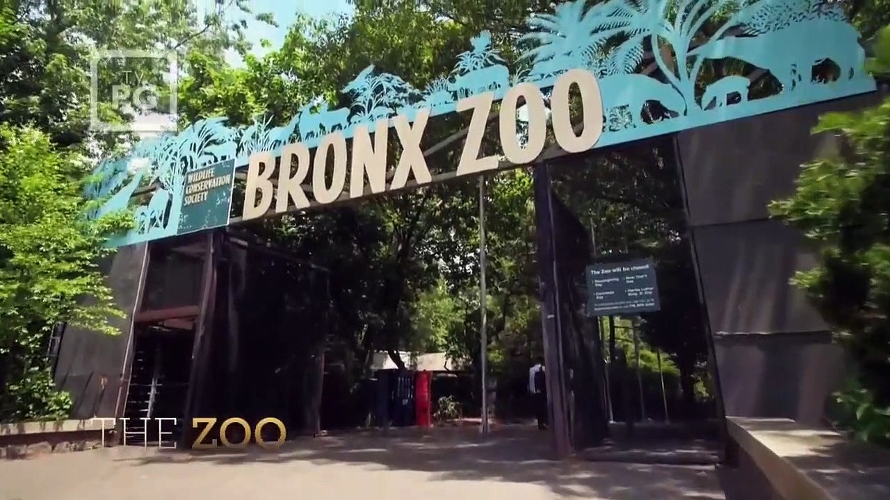 The Zoo - Se4 - Ep06 HD Watch