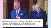 Camilla Parker Bowles, hommage étonnant à Elizabeth II : sa future couronne dévoilée, des détails révélés