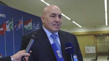 Nato, Crosetto a Bruxelles "Confermato supporto all'Ucraina"