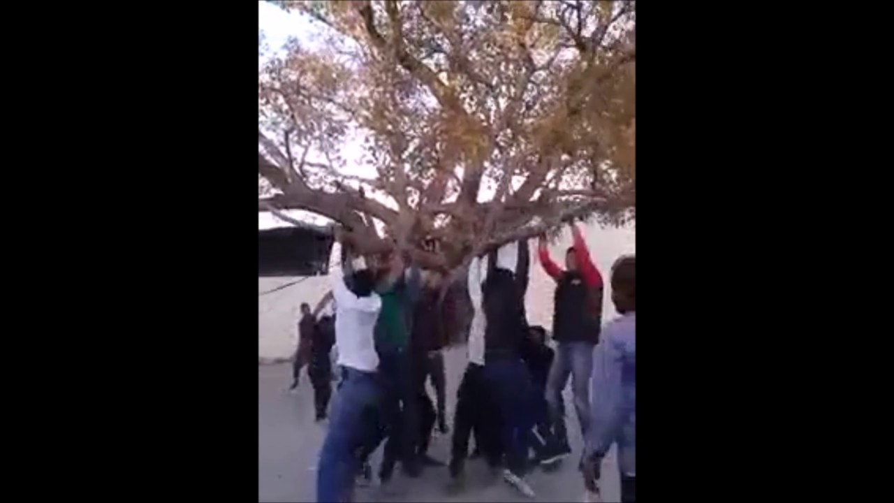 Very Funny College Boys || funny video || comedy video