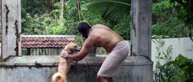 MEPPADIYAN Official Trailer - Unni Mukundan - Saiju Kurup - Aju - Indrans - Vishnu Mohan -UMF- Jan14