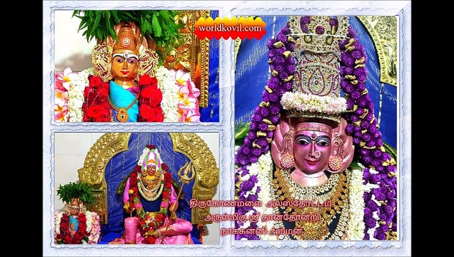 திருகோணமலை #அலஸ்தோட்டம் # ஸ்ரீ தான்தோன்றி நாககன்னி அம்மன்#மஹா கும்பாபிஷேகம் 28.06.2023