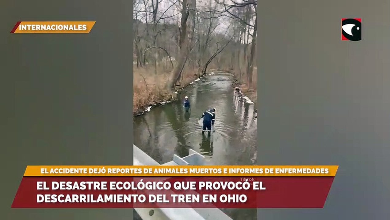 El desastre ecológico que provocó el descarrilamiento del tren en Ohio