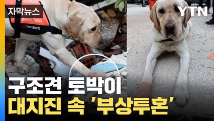 [자막뉴스] 생존자 구조 나선 '토백이'...대지진 현장에서 '부상투혼' / YTN