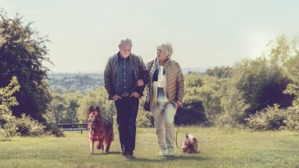 23 Walks (2020) | Official Trailer, Full Movie Stream Preview
