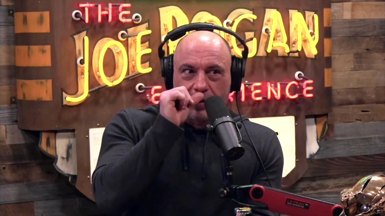 Joe Rogan- SHARKS And JELLYFISH! How DANGEROUS Are They-!