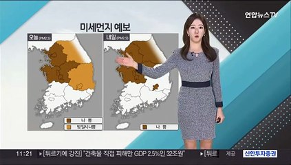 [날씨톡톡] "주말 동안 흐려요"…차츰 비구름, 미세먼지