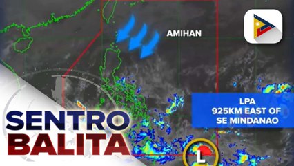 Trough ng LPA, nagpapaulan sa Davao Region, Soccsksargen, Caraga, Eastern Visayas, at Palawan; amihan, patuloy na umiiral sa Luzon