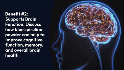 Blue Spirulina Powder - Boost Your Health with this Superfood! - Morlife