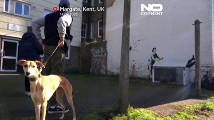 شاهد: لوحة جدارية جديدة لبانكسي بمناسبة عيد الحب