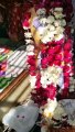अलीगढ़ में 3 फीट के दूल्हे इमरान और 3 फीट की दुल्हन खुशबू की शादी बनी चर्चा का विषय