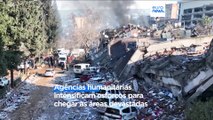 Mais de 41 mil mortos nos sismos da Turquia e da Síria