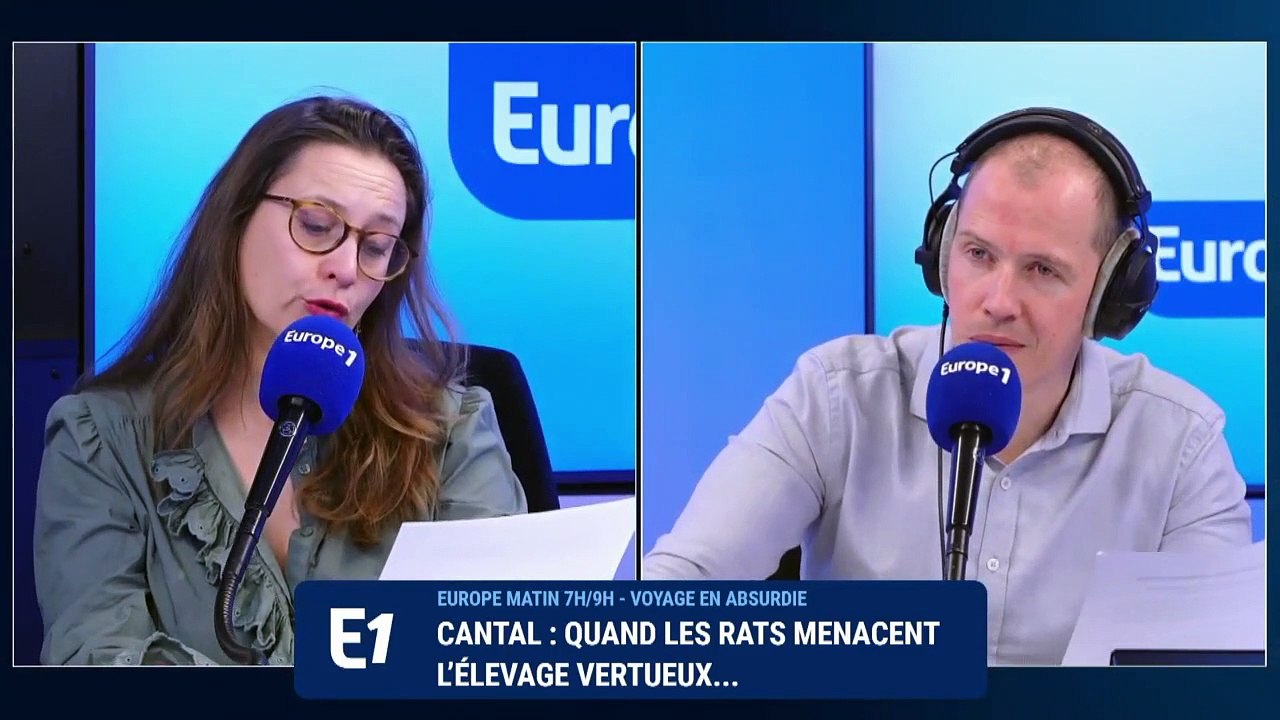 Cantal : «Quand les rats menacent l’élevage vertueux»