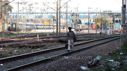 Courting death! Children and adults walk on train tracks in India