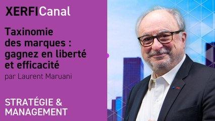 Taxinomie des marques : gagnez en liberté et efficacité  [Laurent Maruani]