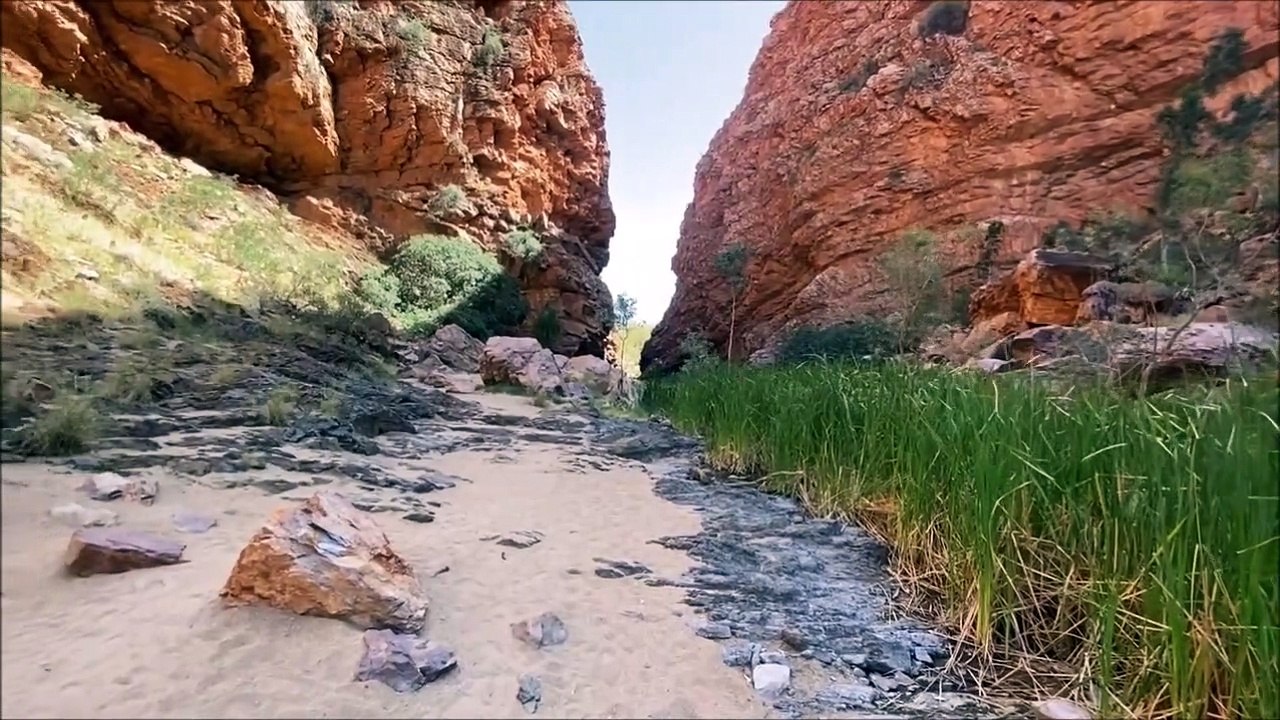 ALICE SPRINGS AND THE OUTBACK TOUR              IIII     BILLY B     AUSTRALIA
