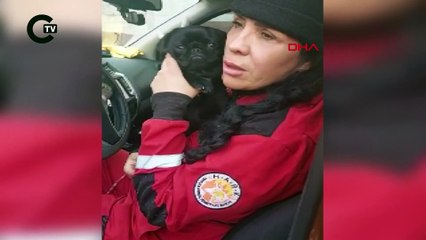 İzmir ekipleri deprem bölgesinde 126 köpek, 101 kedi kurtardı