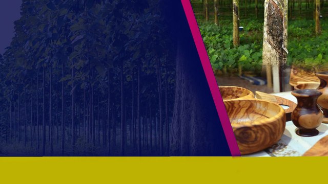 Vasthu Tips ఇంట్లో ఈ రకం చెట్లతో తయారుచేసిన వస్తువులు ఉంటే అశుభమే.. *Vasthu | Telugu OneIndia