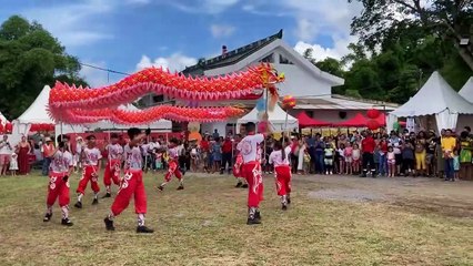 La fête des lanternes, à Saint-André _ la danse du dragon