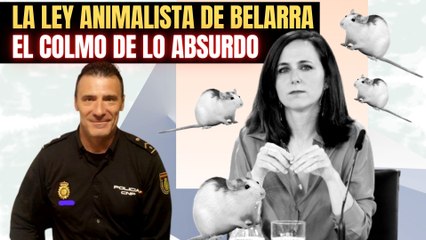 ¡De locos! “La ley animalista de Belarra pena más agredir a una rata que a un ser humano”: Alfredo Perdiguero