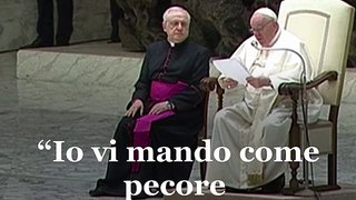 Papa Francesco: “Se tu sei pecora, il Signore ti difenderà dai lupi”