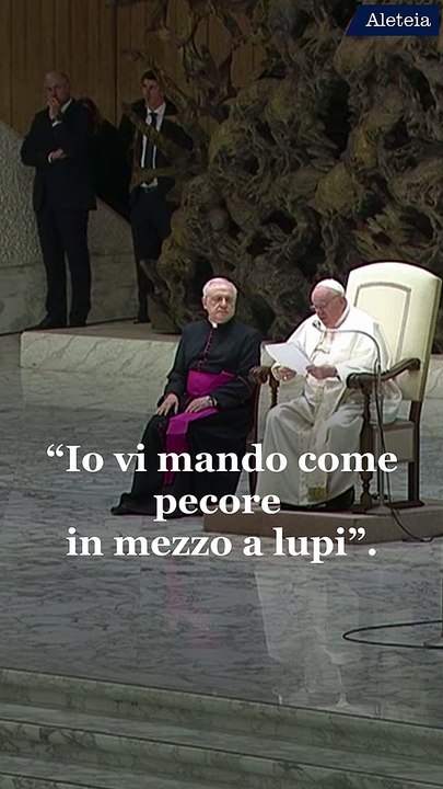Papa Francesco: “Se tu sei pecora, il Signore ti difenderà dai lupi”
