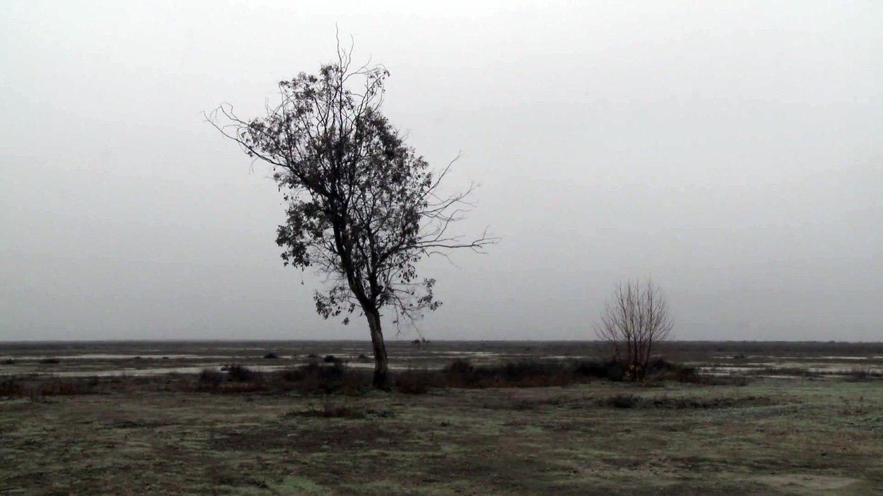 Allensworth - Trailer (OV) HD