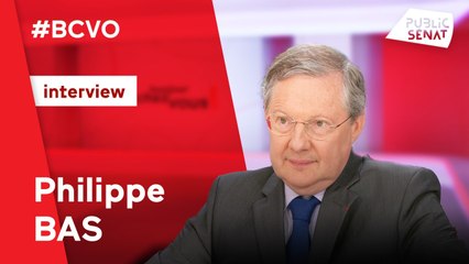 Retraites : "Les voix discordantes sur ce sujet n’ont pas leur place au sein de la direction de LR"