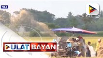 Paggamit ng hybrid seeds upang mapakalakas ang produksiyon ng palay, inaprubahan na ni Pres. Ferdinand R. Marcos Jr.