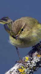 4 PERSONNES SUR 5 NE L'ONT JAMAIS VU