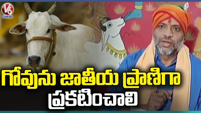 Goraksha Samithi Leader Shiva Kumar Comments On BJP Party Over Cows Issue | V6 News