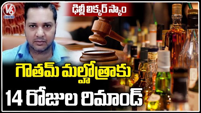 Court Grants 14 Days Remand To Gautam Malhotra In Delhi Liquor Scam Case| Delhi | V6 News