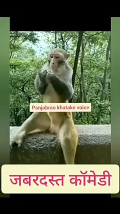 Unconfirmed_download_https___www.instagram.com_p_CoqgYDPrUnx_(video0)