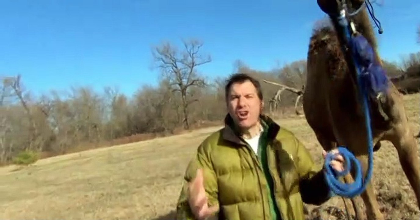 Wild Kratts Wild Kratts S01 E022 – Koala Balloon - video Dailymotion