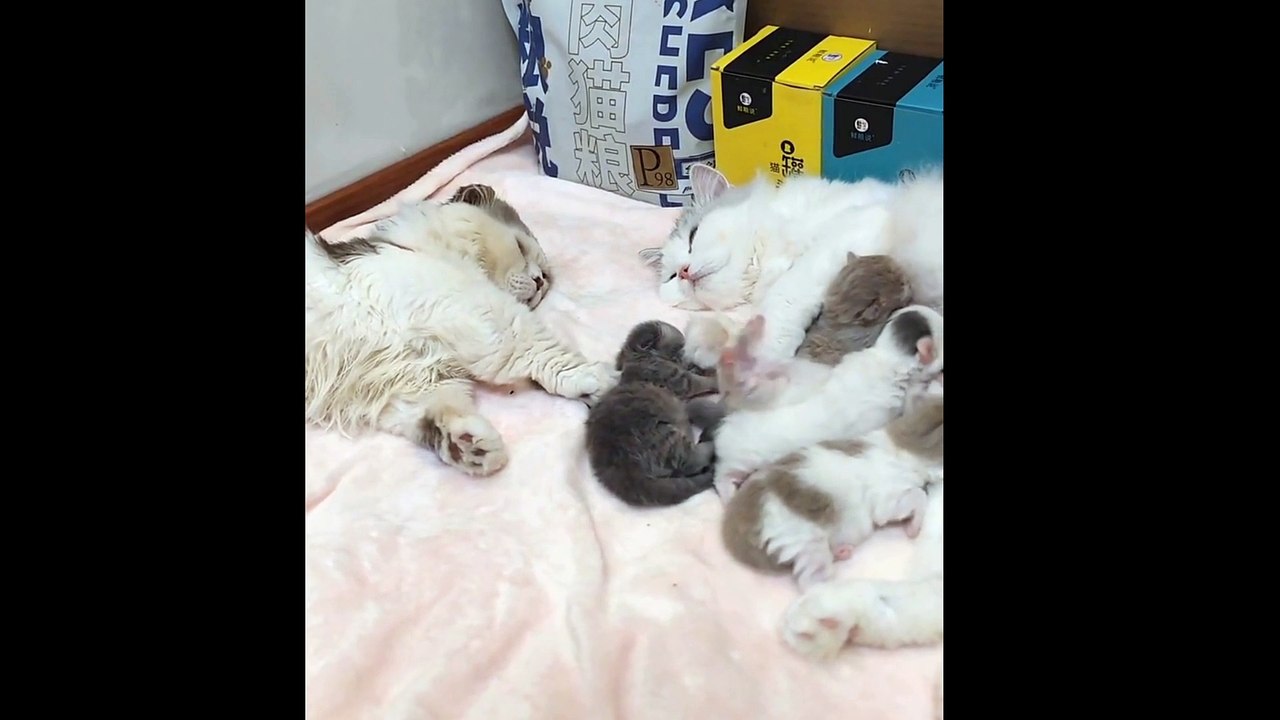 Ayah udah gak tahan nich..