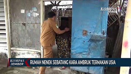 Rumah Nenek Sebatang Kara Ambruk Karena Lapuk Termakan Usia