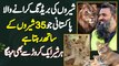 Lion Ki Breeding Karane Wala Pakistani Jo 35 Lions Ke Sath Rehta Ha - Har Lion 1 Crore Se Bhi Mehnga