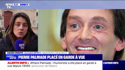 Pierre Palmade a été placé en garde à vue