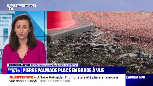 Pierre Palmade: les chefs d'accusation d'homicide et de blessures involontaires par conducteur sous l'emprise de stupéfiants retenus