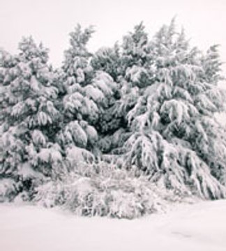 C'était l'hiver(Francis Cabrel)