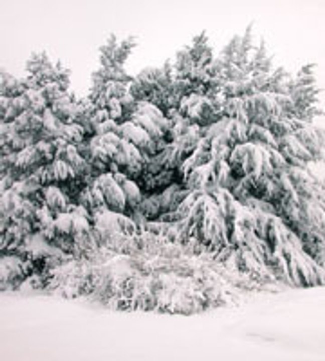 C'était l'hiver(Francis Cabrel)