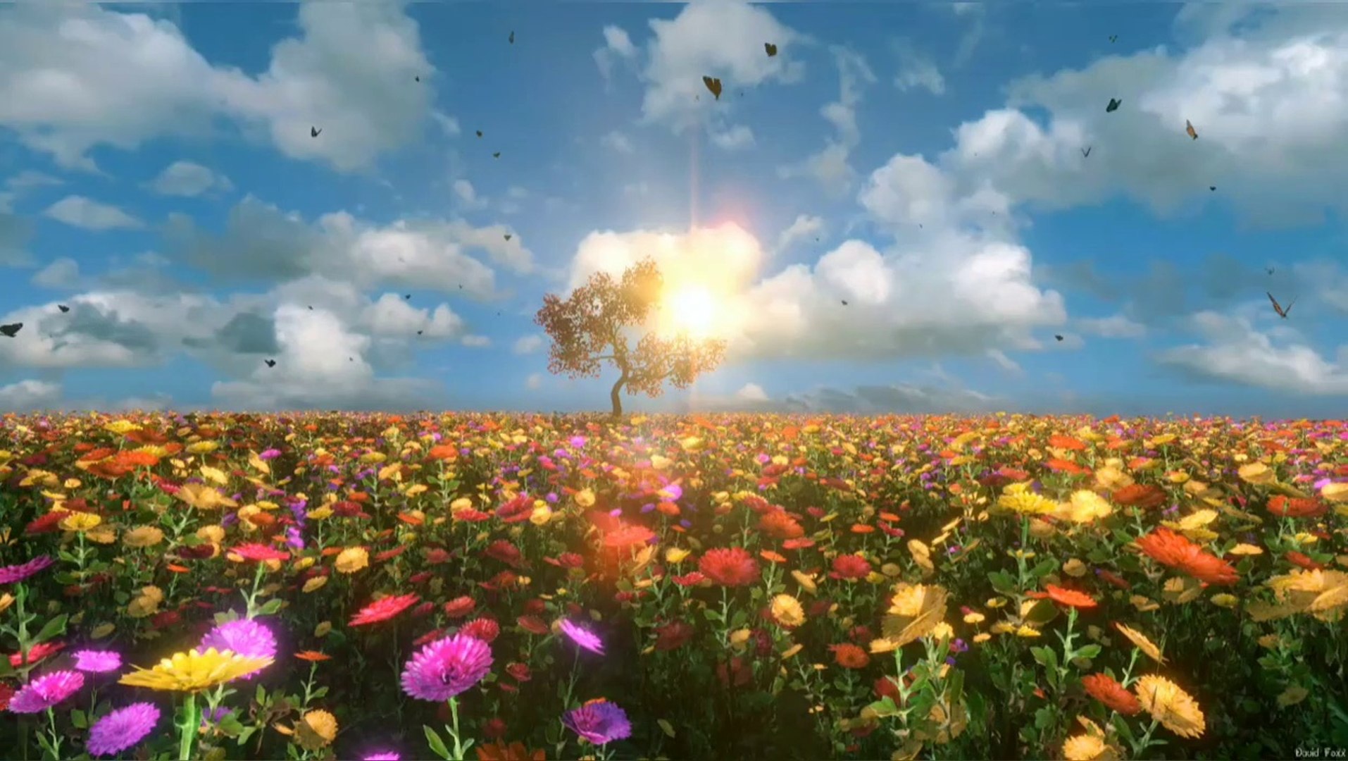 ⁣Beautiful Piano music - Relaxing Music, Study Music, Stress Relief, Sleep Music (Aurora), Nature