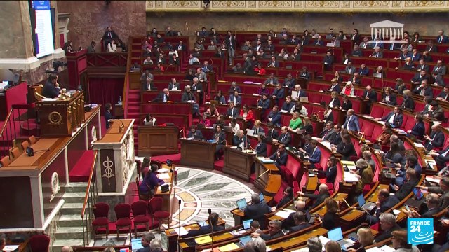 French parliament rejects key article of pension reforms
